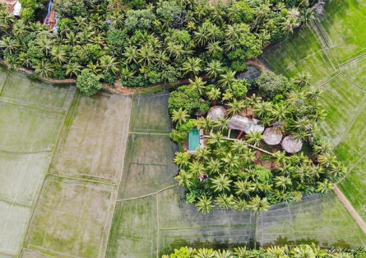 Rice Rice Villas Tissamaharama Buitenkant foto