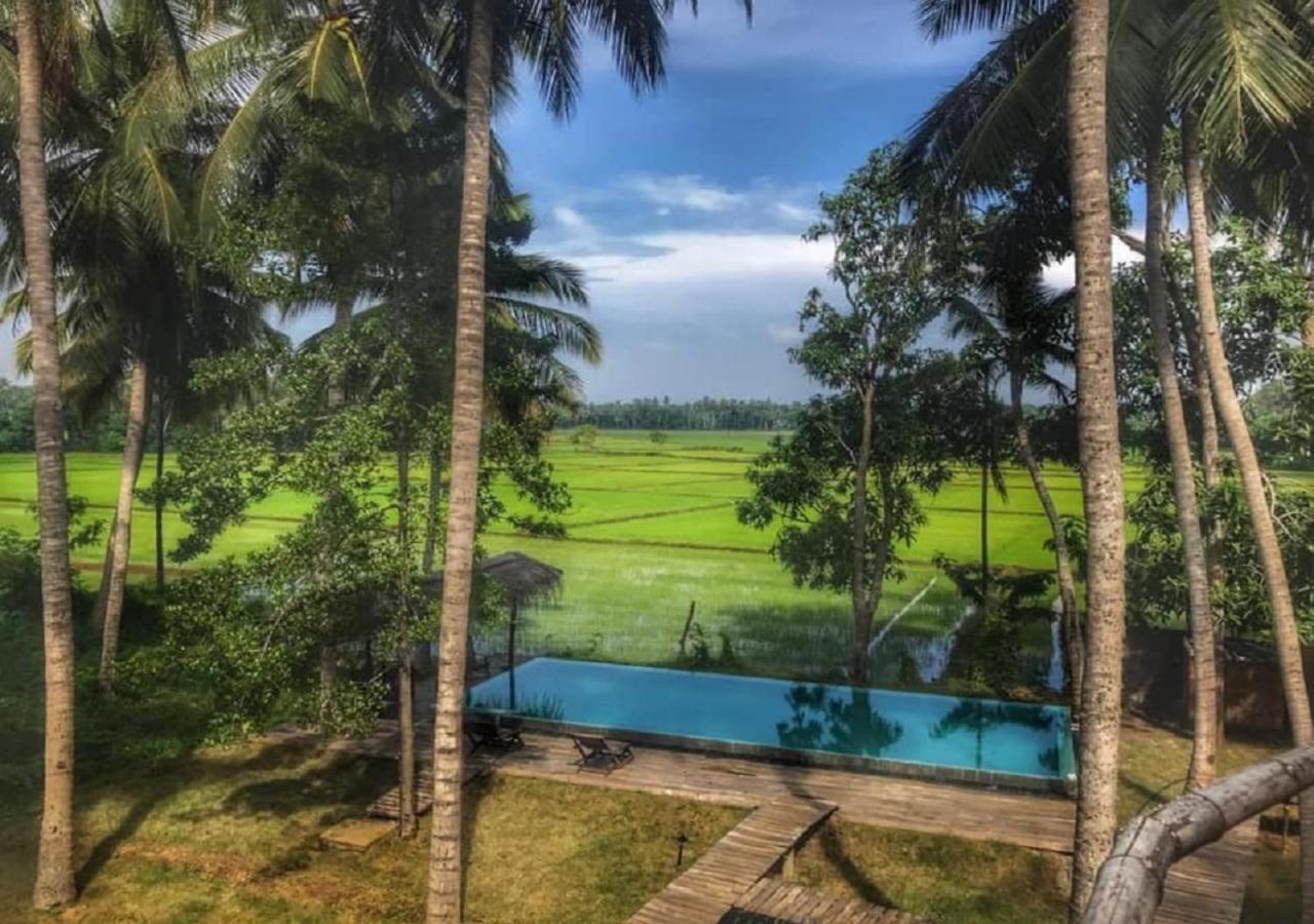 Rice Rice Villas Tissamaharama Buitenkant foto