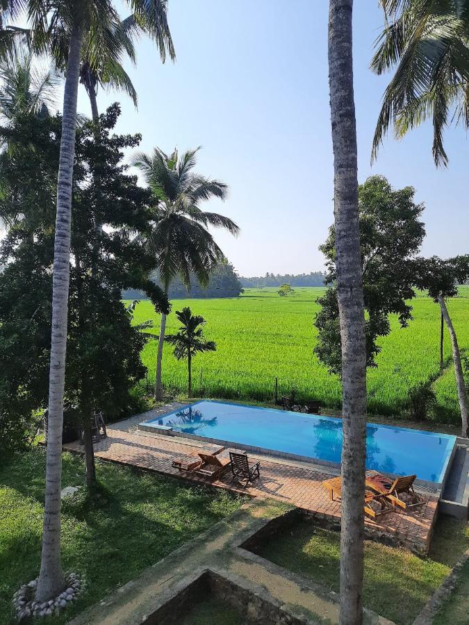 Rice Rice Villas Tissamaharama Buitenkant foto