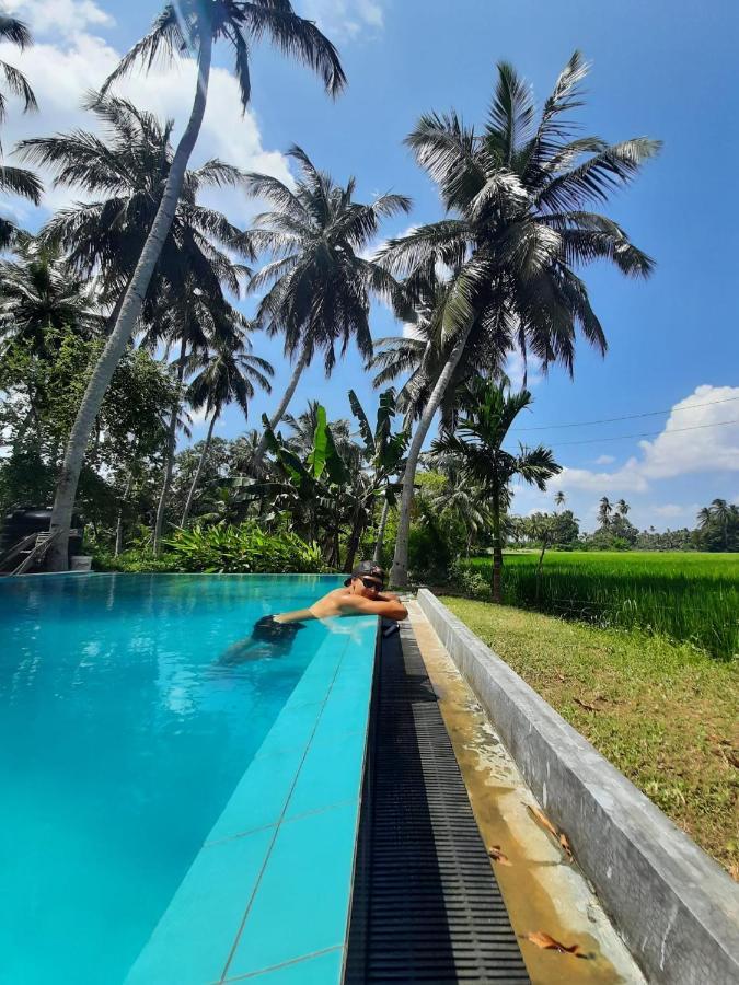 Rice Rice Villas Tissamaharama Buitenkant foto