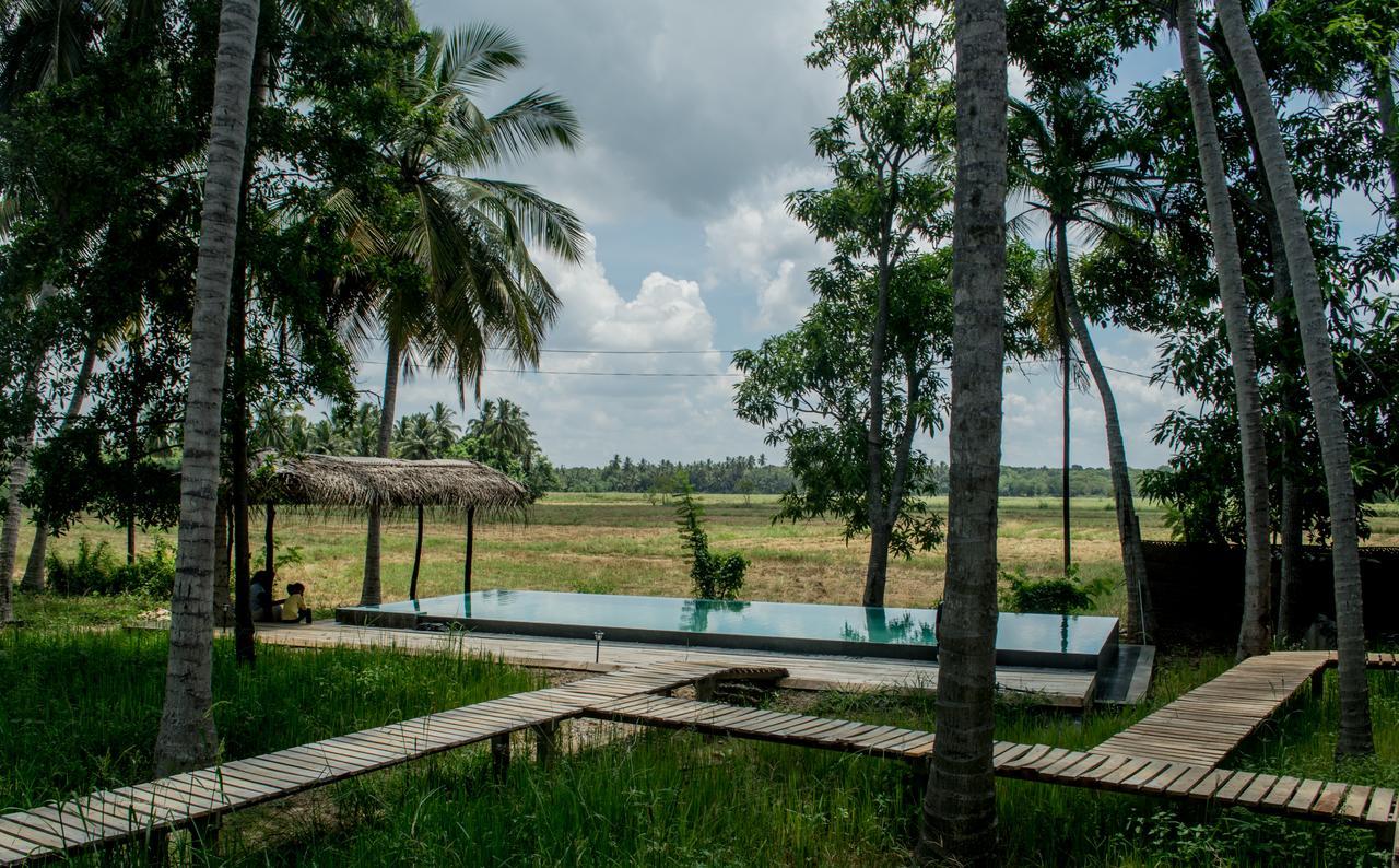 Rice Rice Villas Tissamaharama Buitenkant foto