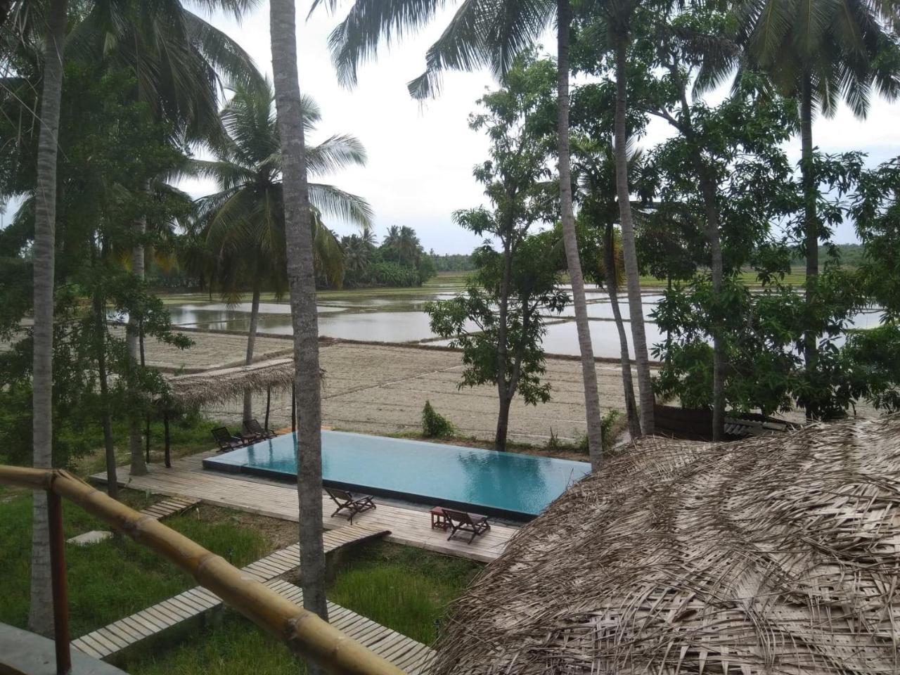 Rice Rice Villas Tissamaharama Buitenkant foto