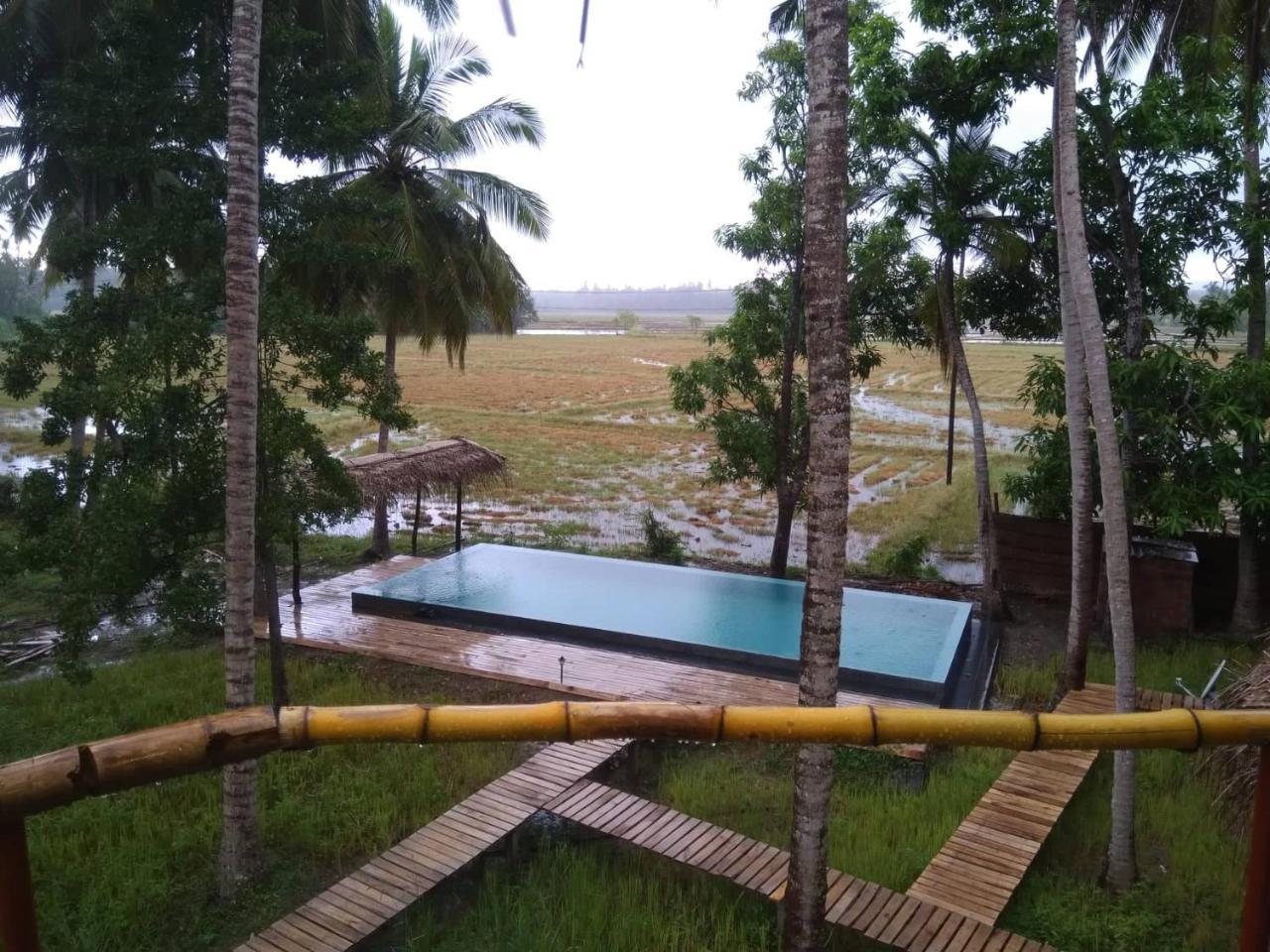 Rice Rice Villas Tissamaharama Buitenkant foto