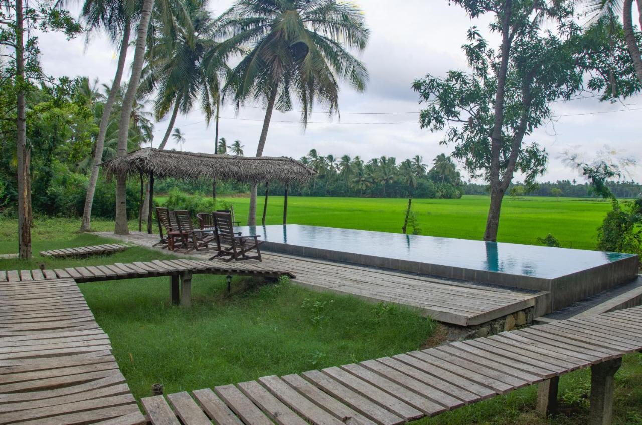 Rice Rice Villas Tissamaharama Buitenkant foto